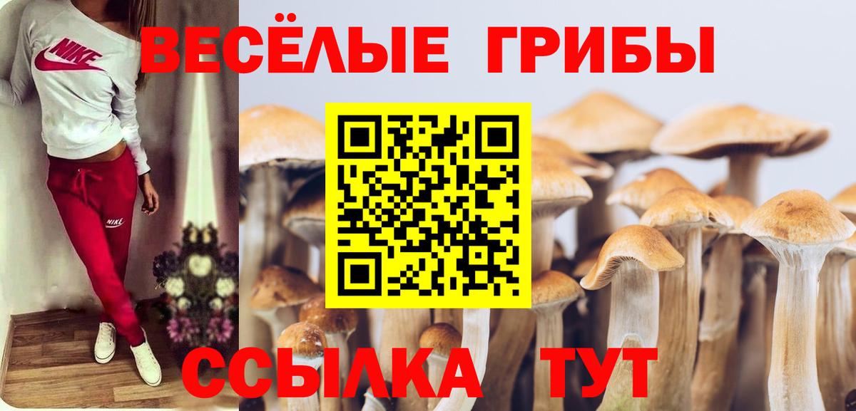 Псилоцибиновые грибы Cubensis  Вход с VPN  Северобайкальск  Галлюциногенные грибы мухоморы 